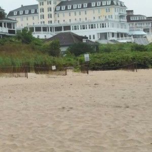 Meet your Posher, Colin